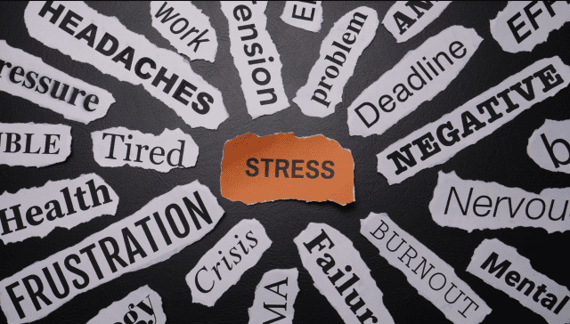 some papers on a ground