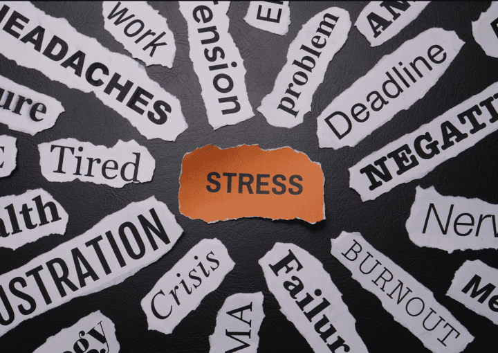 some papers on a ground