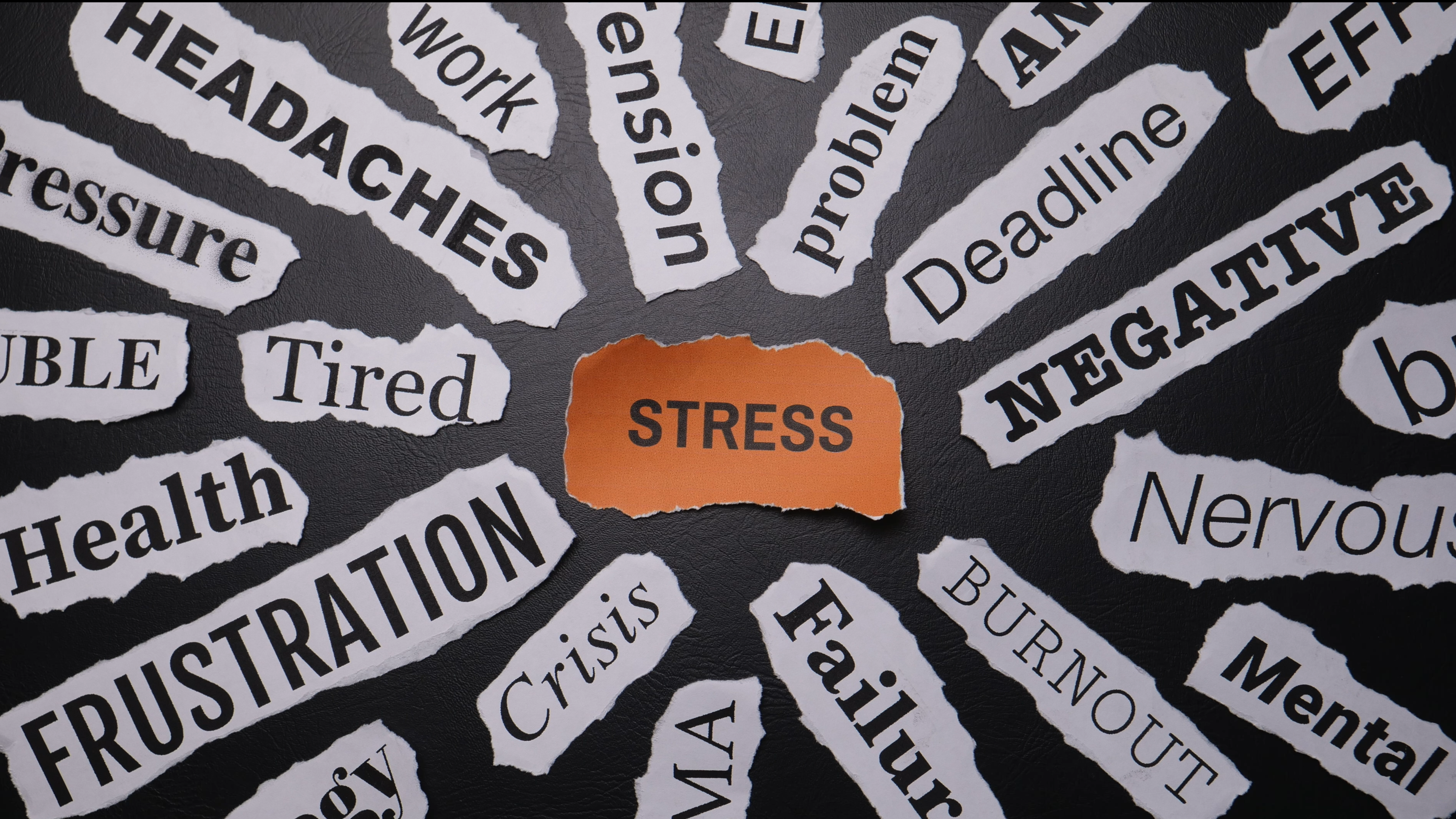 some papers on a ground