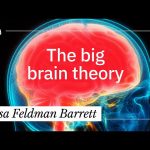 An Evolutionary History of the Human Brain, In 7 Minutes